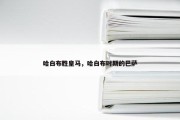 哈白布胜皇马，哈白布时期的巴萨