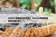 fm2017数据库汉化修正？ fm2020数据库编辑器在哪打开？