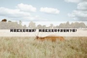 网易实况足球漏洞？ 网易实况足球手游官网下载？