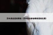 莎头奥运混双赛程（莎头组合参加哪些混双比赛）