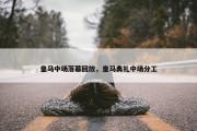 皇马中场落幕回放，皇马典礼中场分工