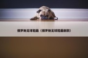 俄罗斯足球鞋最（俄罗斯足球鞋最新款）