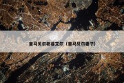 皇马贝尔老婆艾尔（皇马贝尔妻子）