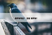俄罗斯专区？ 百度 俄罗斯？