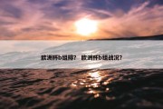 欧洲杯b组排？ 欧洲杯b组战况？