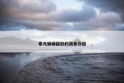 非凡娟娟回放的简单介绍