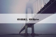 切尔西浦江，切尔西plan