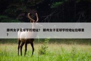 滕州女子足球学校地址？ 滕州女子足球学校地址在哪里？