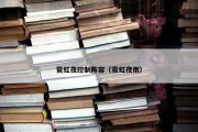 霓虹夜控制阵容（霓虹夜雨）