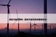 英超引援花销榜（英超引援花销榜最新排名）