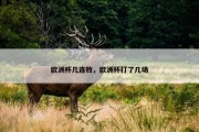 欧洲杯几连败，欧洲杯打了几场