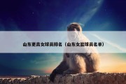 山东更高女球员排名（山东女篮球员名单）