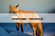 天使进球流泪图片（天使流泪的头像）