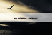 播放季后赛网站（季后赛视频）