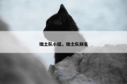 瑞土队小组，瑞士队别名