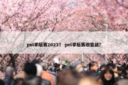 pel季后赛2023？ pel季后赛收官战？