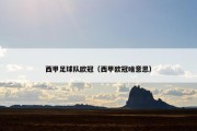 西甲足球队欧冠（西甲欧冠啥意思）