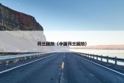 荷兰回放（中国荷兰回放）