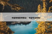 中超球场草坪排名？ 中超专业球场？