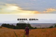 纽波特球衣，纽波特29c