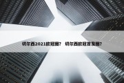 切尔西2021欧冠图？ 切尔西欧冠首发图？