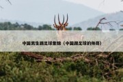 中国男生踢足球集锦（中国踢足球的帅哥）