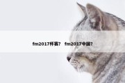 fm2017杯赛？ fm2017中国？