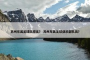 苏州东吴足球队排名？ 苏州东吴足球俱乐部队员？