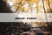 进球华尔兹？ 华尔兹技巧？