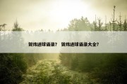 贺炜进球语录？ 贺炜进球语录大全？