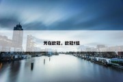芳在欧冠，欧冠f组
