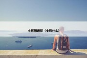 小辉想进球（小辉什么）