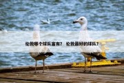 伦敦哪个球队富有？ 伦敦最好的球队？