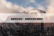 西樵镇足球队？ 西樵镇足球队有哪些？
