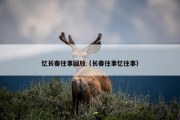忆长春往事回放（长春往事忆往事）