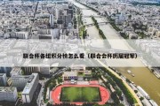 联合杯各组积分榜怎么看（联合会杯历届冠军）