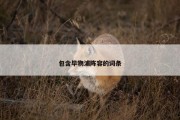 包含毕物浦阵容的词条