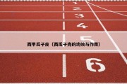 西甲瓜子皮（西瓜子壳的功效与作用）