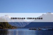 巴西球队主力名称（巴西队的主力是谁）