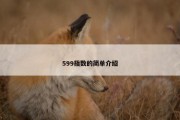 599指数的简单介绍