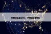 利物浦福星足球队，利物浦足球球星