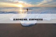 欧洲杯明星海报，欧洲杯明星球迷