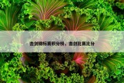 击剑锦标赛积分榜，击剑比赛比分