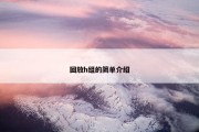 回放h组的简单介绍