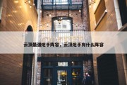 云顶最强炮手阵容，云顶炮手有什么阵容
