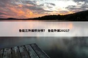 鲁能三外援积分榜？ 鲁能外援2021？