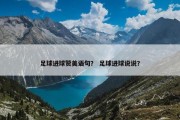 足球进球赞美语句？ 足球进球说说？