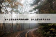 怎么在营地查询贵族积分榜？ 怎么在营地看贵族积分？
