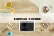 中超国安负给谁（中超国安阵容）
