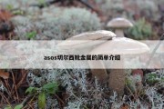 asos切尔西靴金属的简单介绍